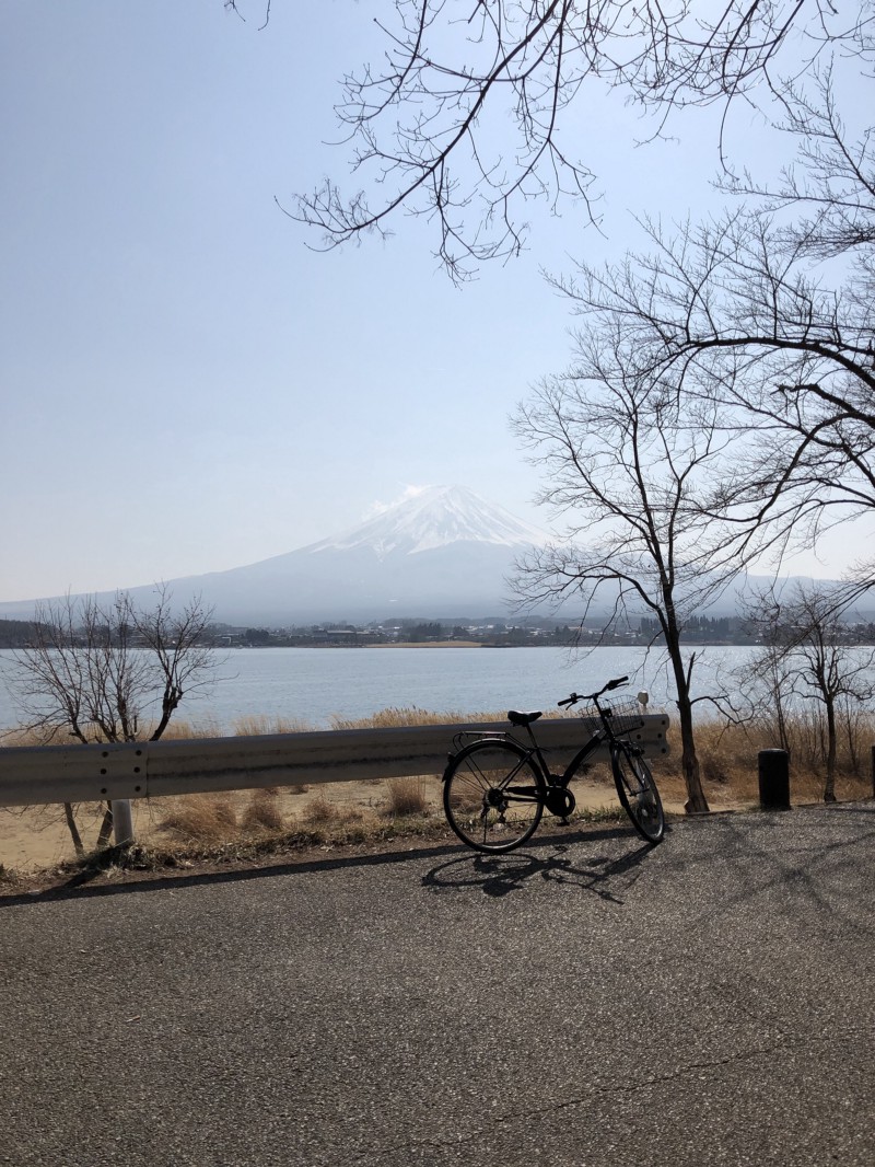 Fujisan from Kawaguchiko